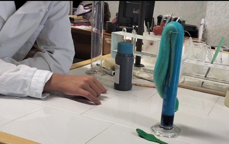 WhatsApp Image 2025 12 11 at 12.36.30